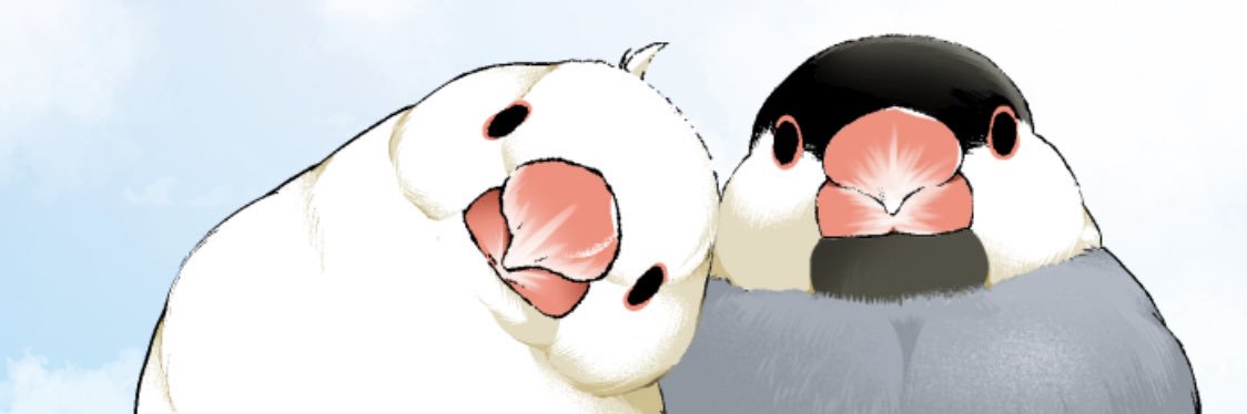 アドンク banner
