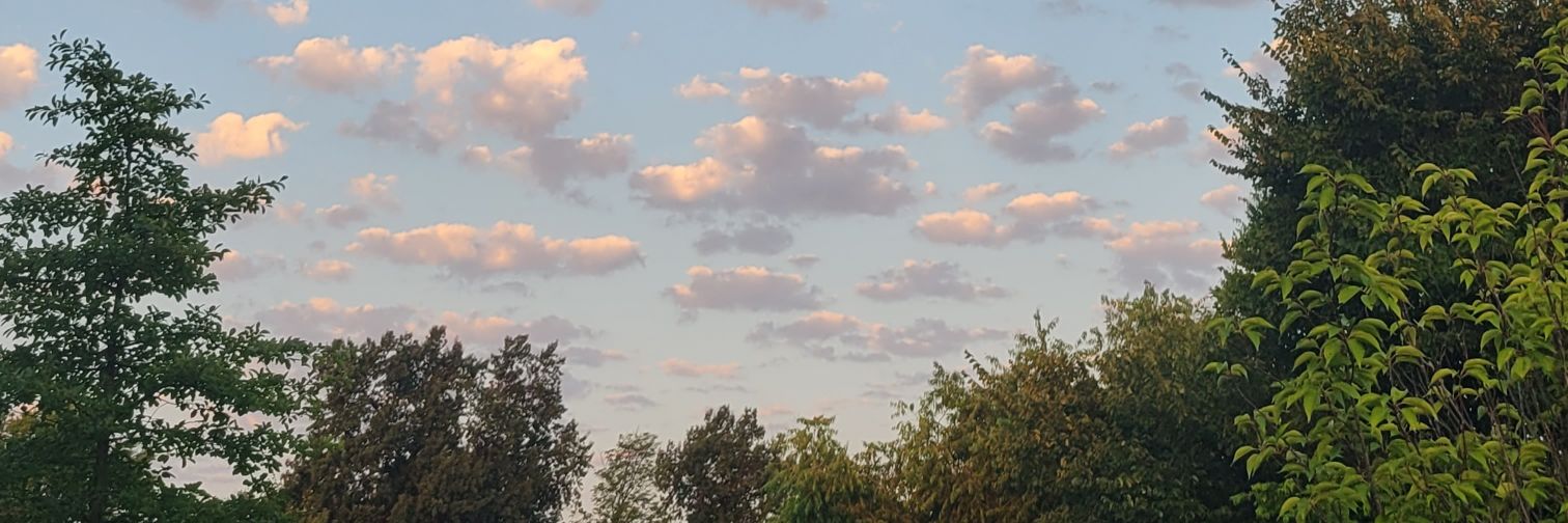 Just another Mike 🐦 banner