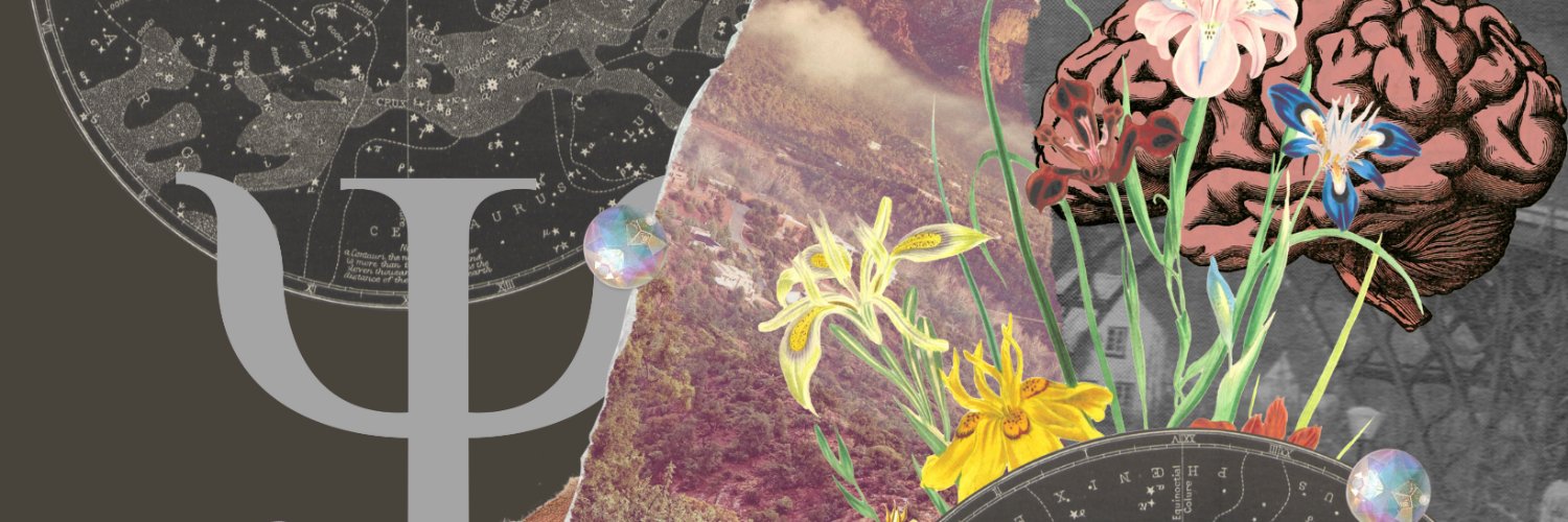 Brainstorm: Exploring Minds & Behaviors banner