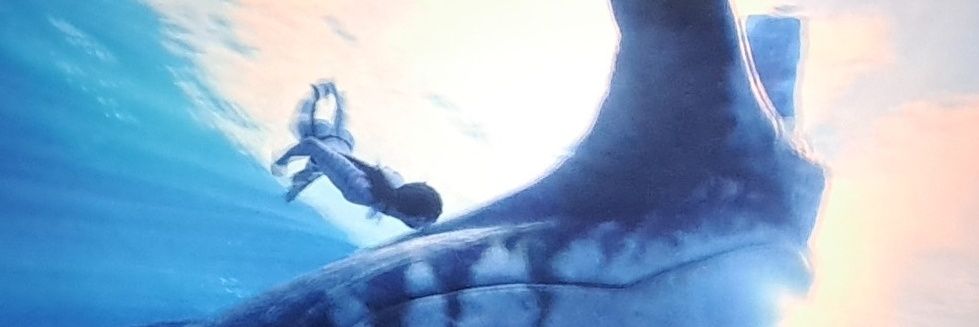 Pork 🧚‍♀️ banner