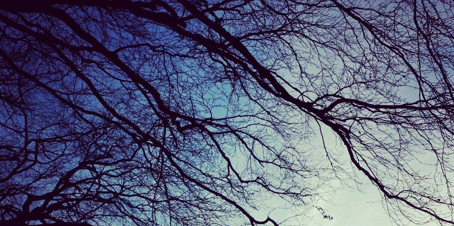 Danielle 🏳️‍🌈 🇵🇸 banner