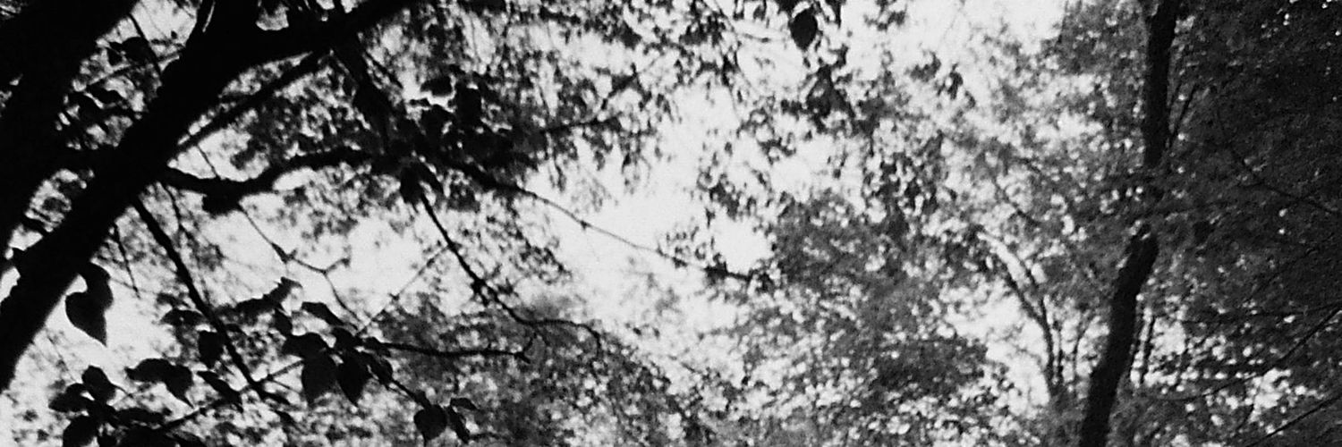 DavidTweid's profile banner image