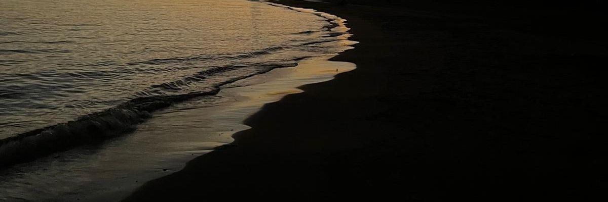 nassler's profile banner image