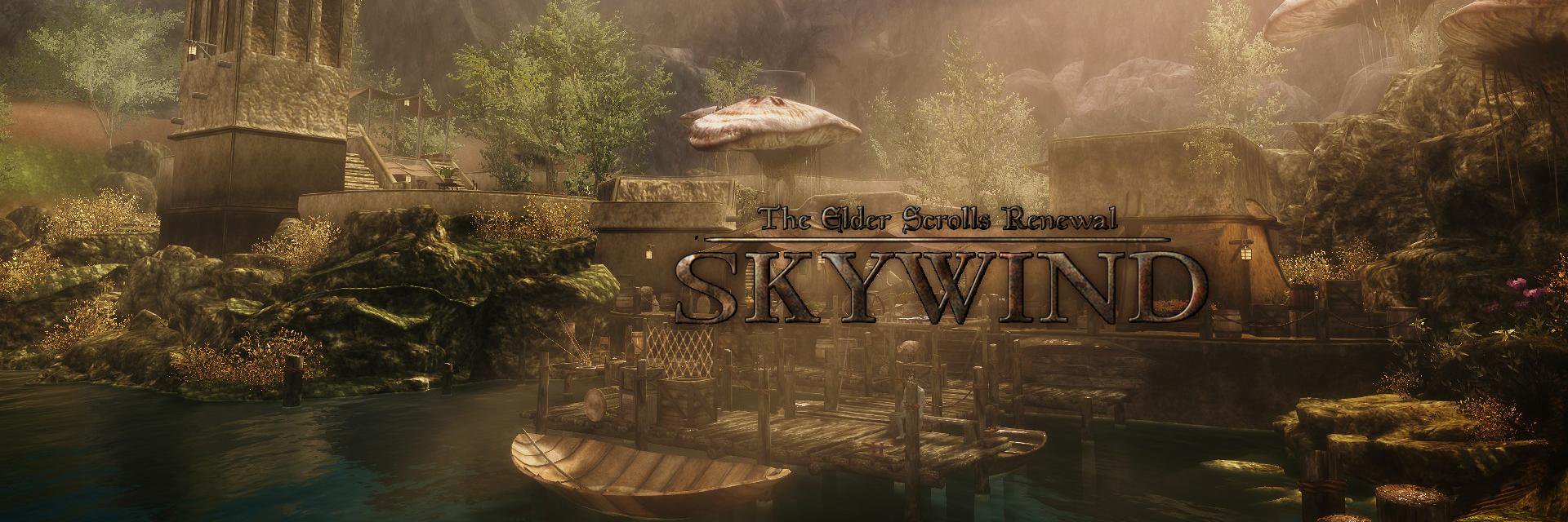 SkywindTeamRu's profile banner image