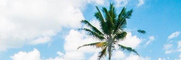 serissii Profile Banner