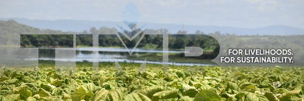 timb_zw Profile Banner