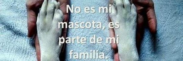 FAUNERO2 Profile Banner