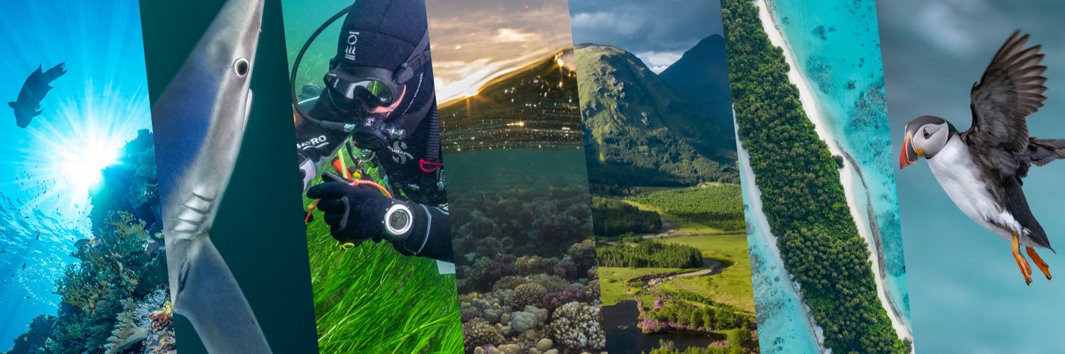 Lewis Michael Jefferies banner