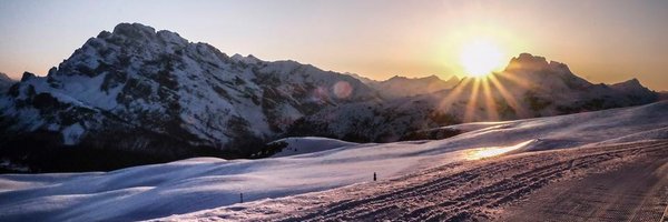 LaviniaColonnaP Profile Banner