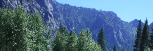 timrogers Profile Banner