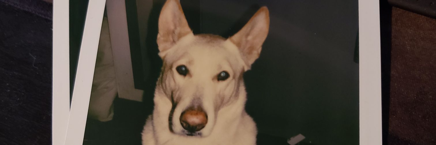 calanis01's profile banner image