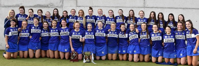 Barrow Rangers Camogie Club banner