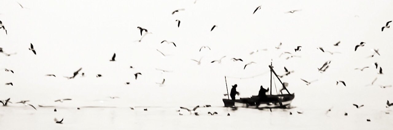 TPhcs's profile banner image
