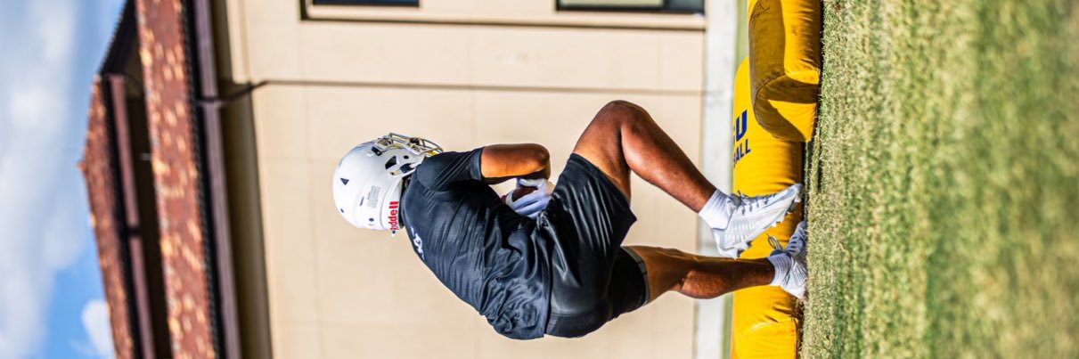 Sage Ingram's banner