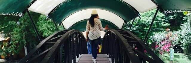 marcelapaezr's profile banner image