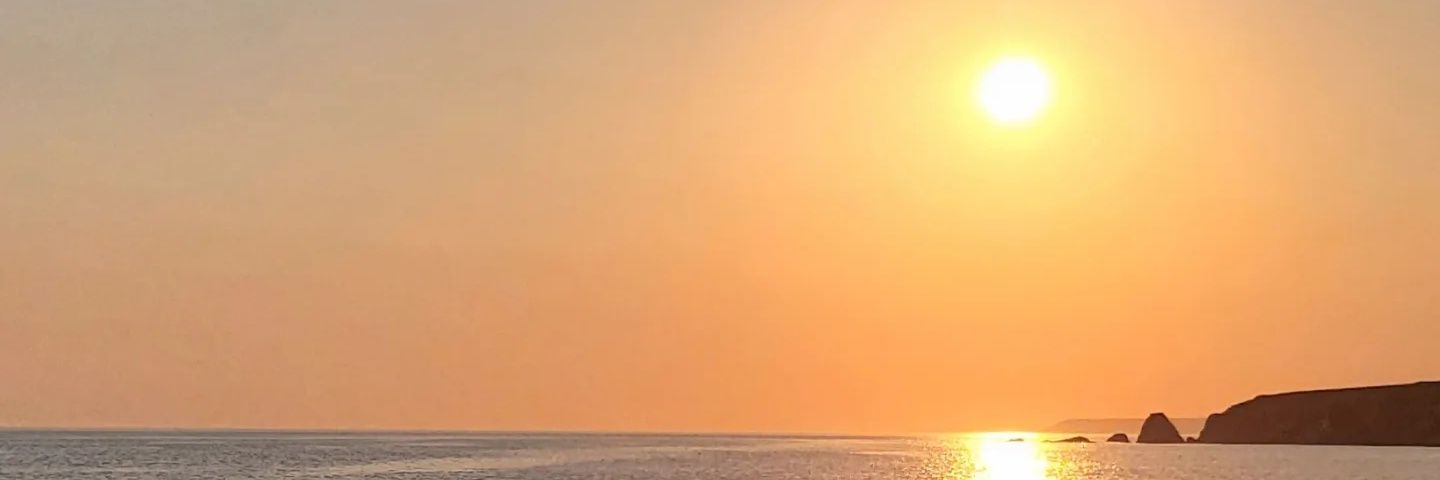 Kiminthelibrary's profile banner image