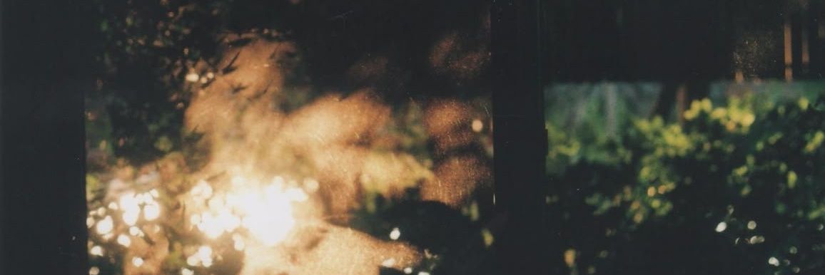 nico banner