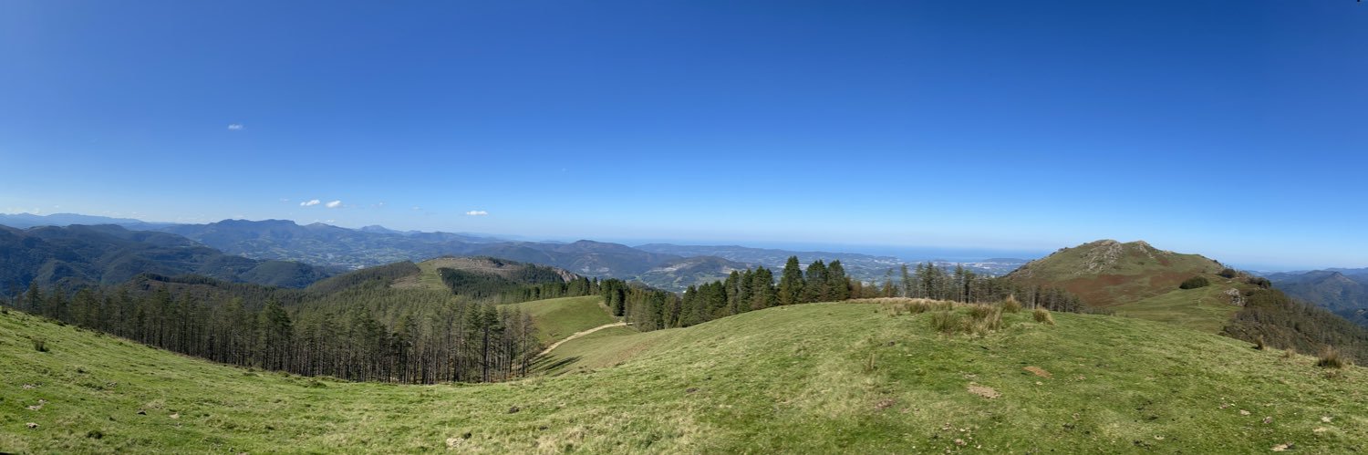 Oihane Sanz Lab banner