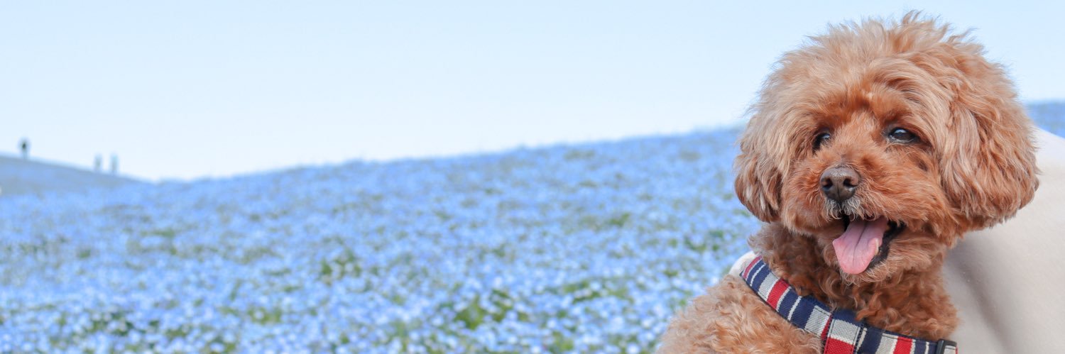 A____1124's profile banner image