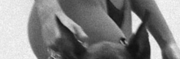 PrinceCartiee's profile banner image