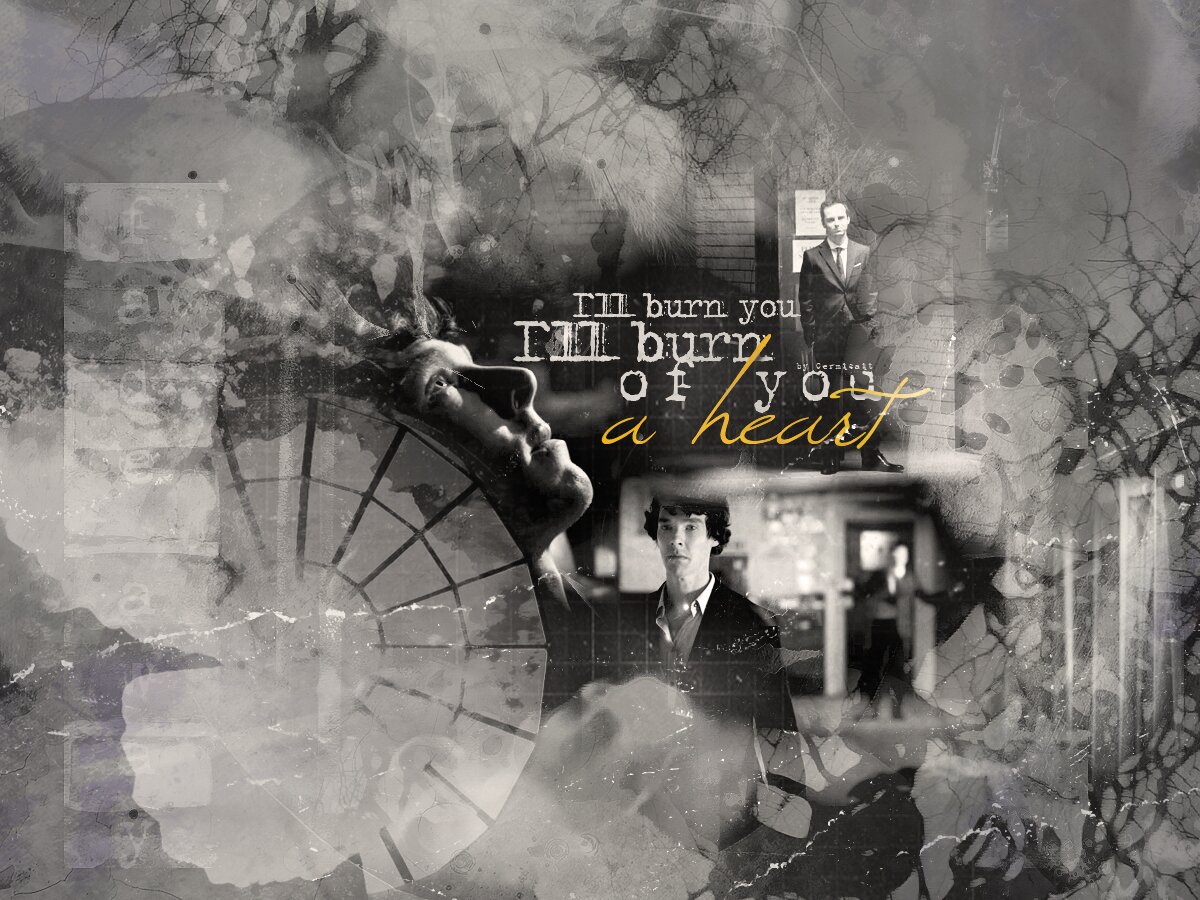 sh_bot_sherlock's profile banner image