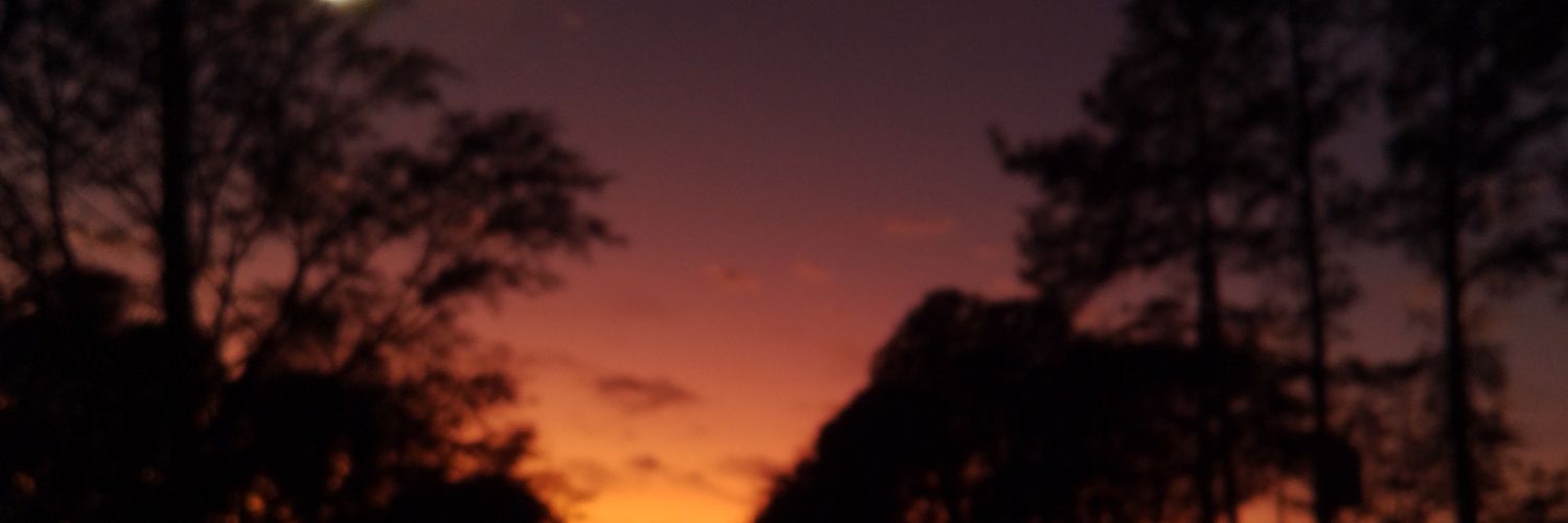 Twitter banner for @Enzowtfg