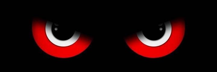 Oroku Saki banner