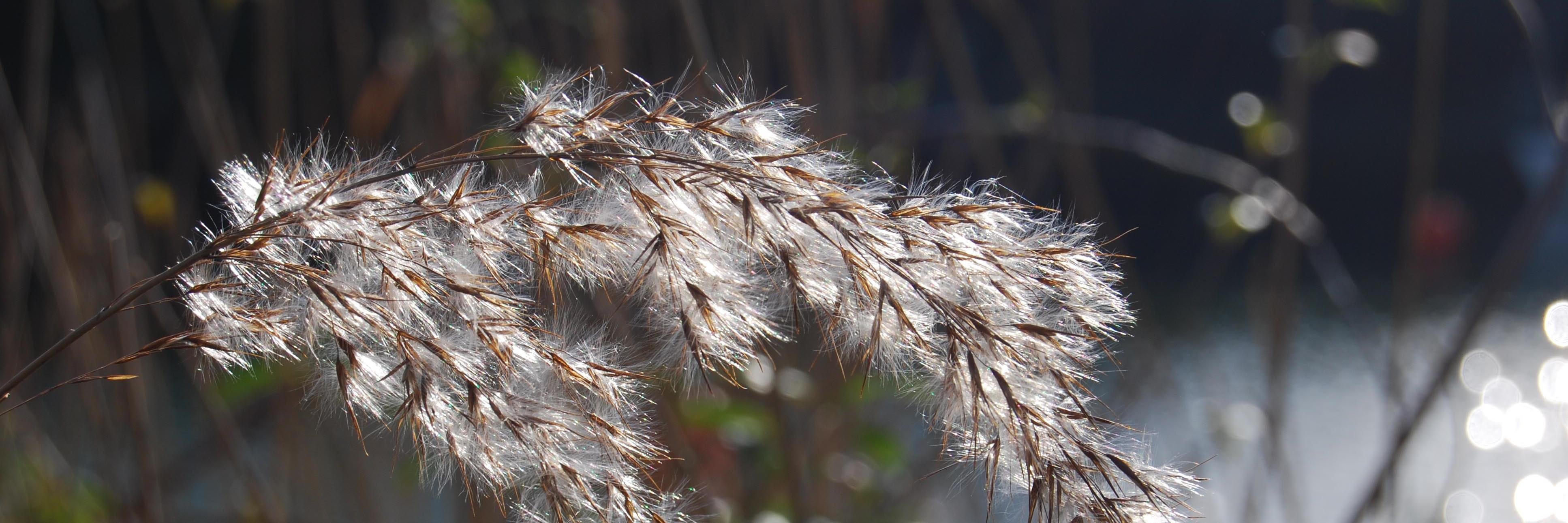 RebeccaCoxPhoto's profile banner image