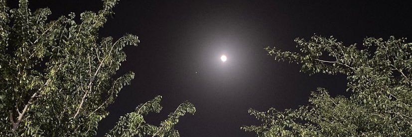aml__35's profile banner image