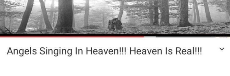 zphuwin's profile banner image