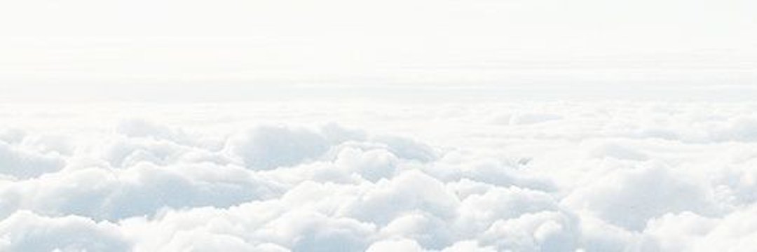 Sk🌻 banner
