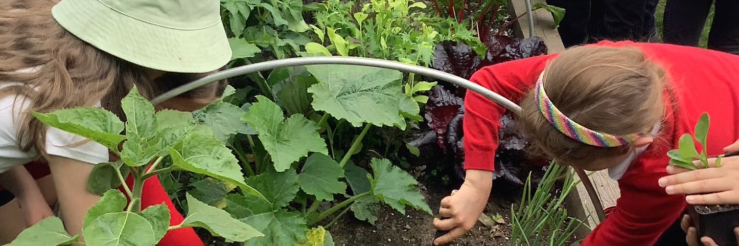 Carron Primary banner