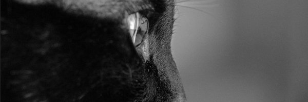 MSiabala Profile Banner