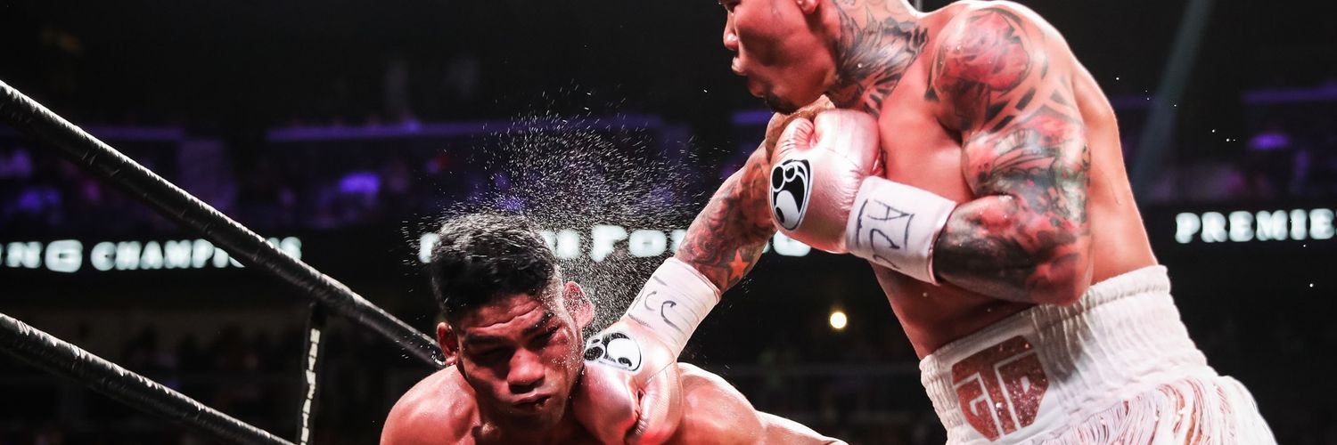 GVA Nestu 🥊 banner