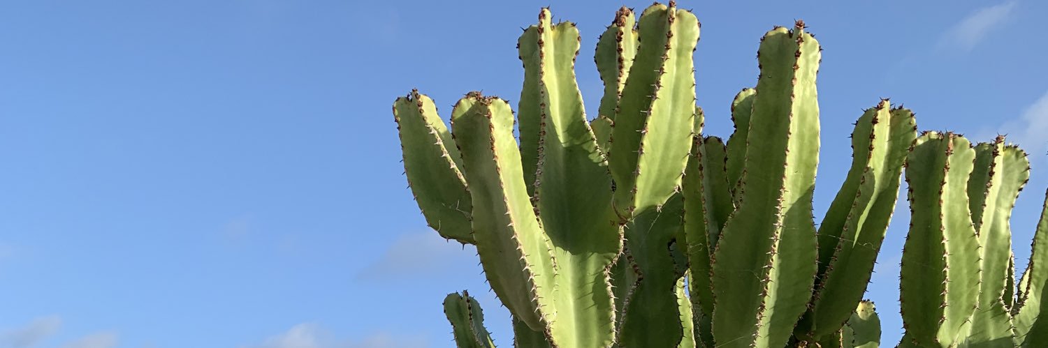 dianagranado99's profile banner image