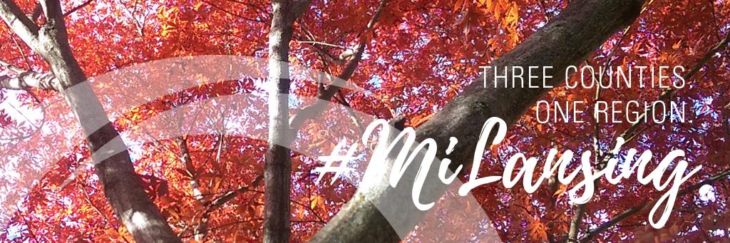 meadowv's profile banner image