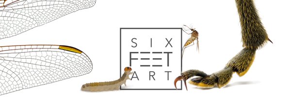 sagaOptics Profile Banner