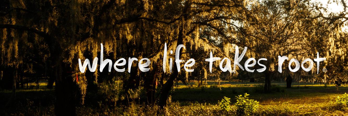 StarkeyRanch's profile banner image