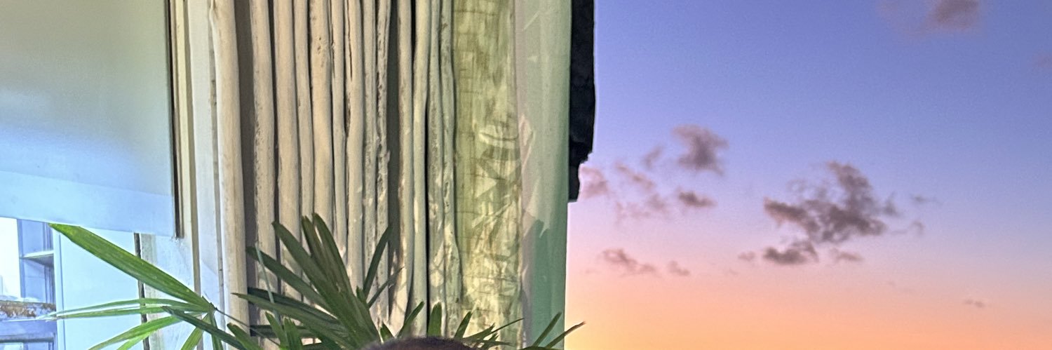 mairasf's profile banner image