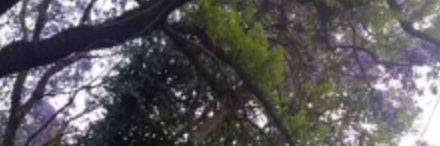 MoniqueArevalo's profile banner image