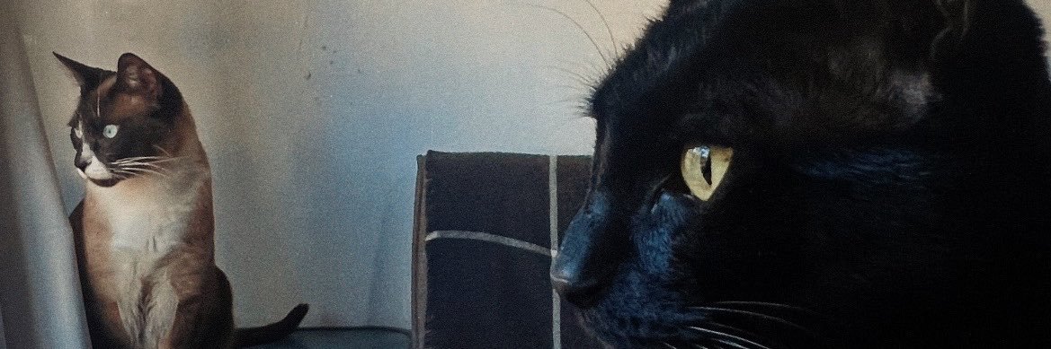 marttucl's profile banner image