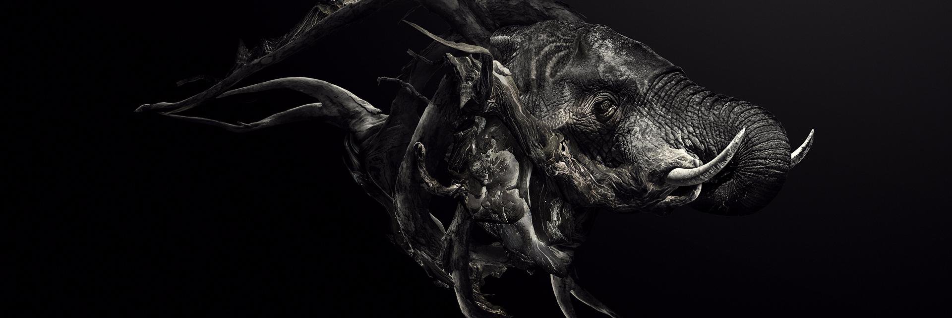 An8roK's profile banner image