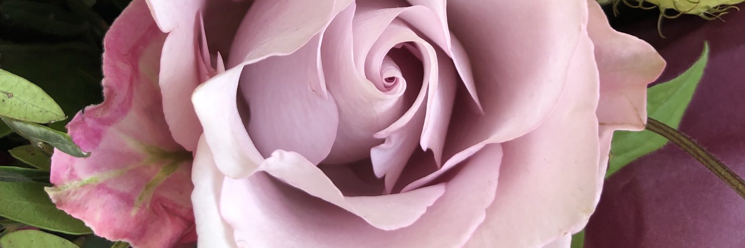 MillyCorbett's profile banner image