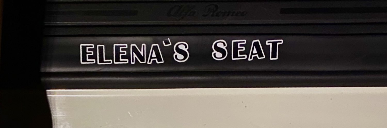 elenaaneri's profile banner image