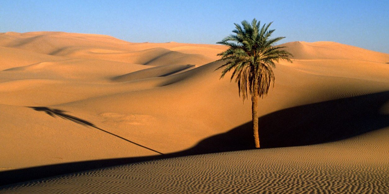عبدﷲ بن سُلَيْم الرُّشَيْد's banner