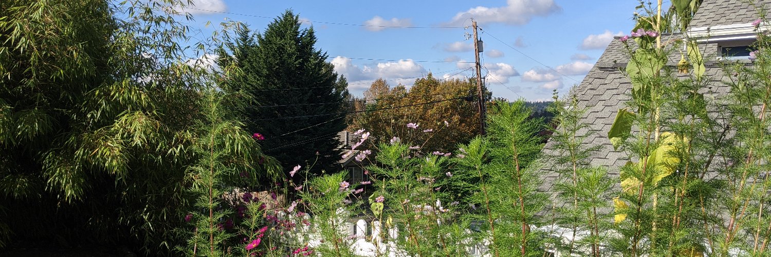 Dress the Emperor banner