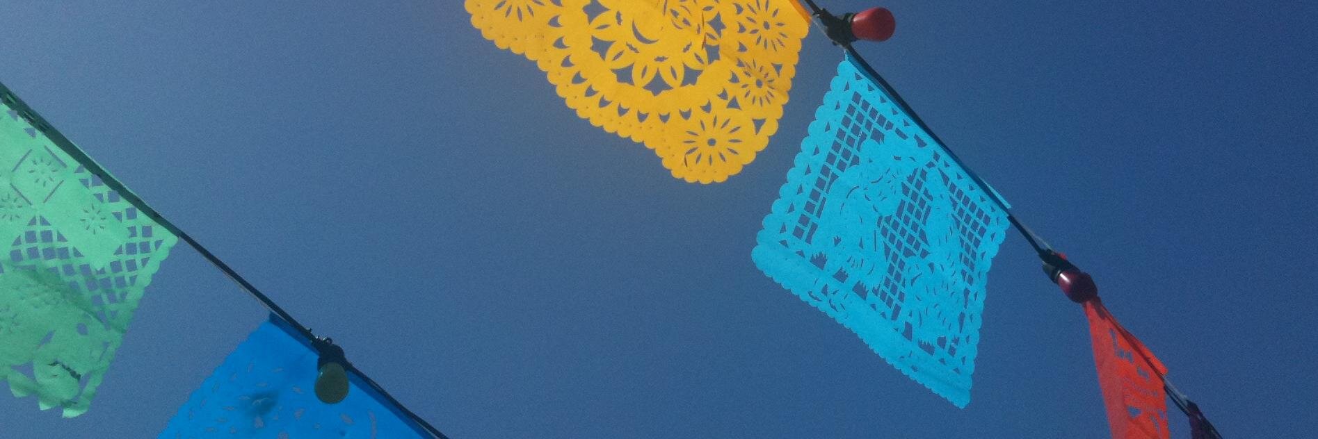 maisnon banner