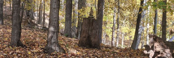 cyberteacher Profile Banner