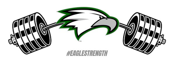 ZVille_Strength Profile Banner