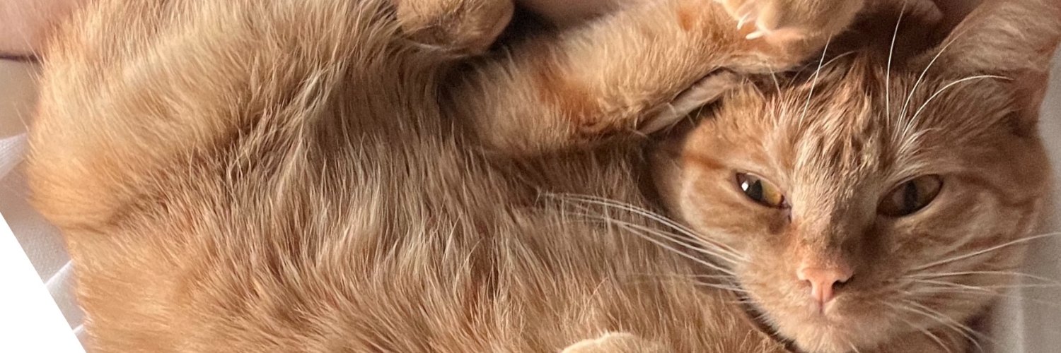 Friðjón Friðjónsson 🇺🇦 banner